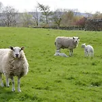 3 Bed In Leyburn Oc-ds179 Holiday home Carperby